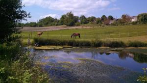 B&B / Chambres d'hotes Rabbit House - Le Gite : photos des chambres