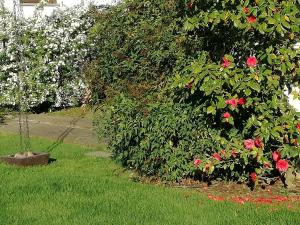 3 Tesori B&B img21