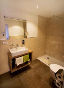 Double Room with Balcony or Terrace room in Hotel Alp Inn