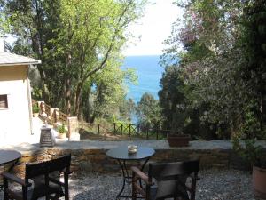 Vergopoulos Oliveyard Pelion Greece