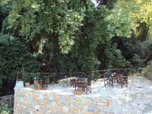 Vergopoulos Oliveyard Pelion Greece