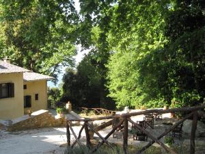 Vergopoulos Oliveyard Pelion Greece