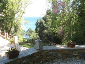 Vergopoulos Oliveyard Pelion Greece