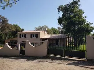 Corsica Paddock - Morta