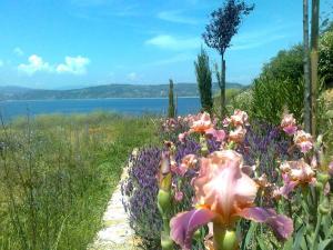 Marvelous Sea View Eco Apt Ammouliani Greece