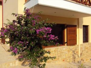 Marvelous Sea View Eco Apt Ammouliani Greece