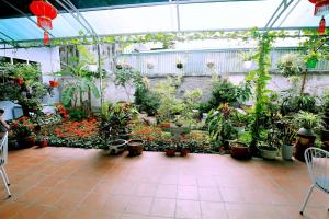 Catba Central Hotel 2