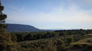 Sejours a la campagne Les Terrasses - Gordes : photos des chambres