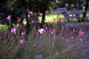 Sejours a la campagne Les Terrasses - Gordes : photos des chambres