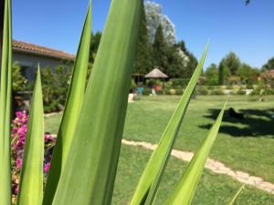 Villas Grande villa d Agathe, piscine privative cloturee entre St Remy de Provence et Avignon : photos des chambres