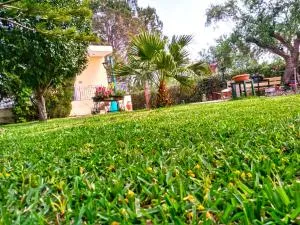 Theocharis Paradise - 瓦尔索洛米翁