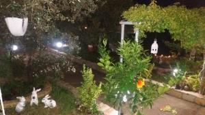 Elena's House Garden Thassos Greece