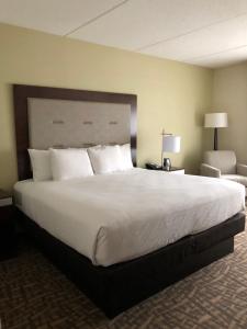 King Room - Non-Smoking room in Wyndham Garden Buffalo Downtown