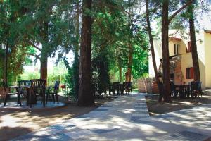 Ayres del Bosque