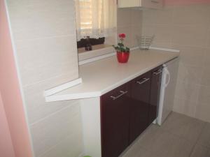 Apartman Bukaleta in Loznati