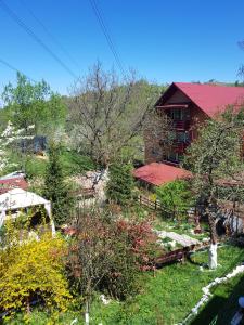 Pension Bran Ioana& SPA