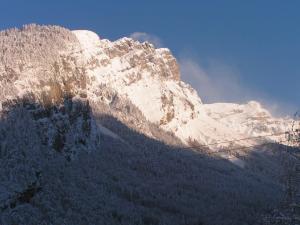 Chalets Chalet Narcisse : photos des chambres