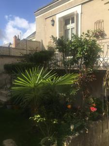Le Clos Saint-Etienne photo 21