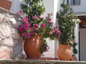 Hotel Pelion Resort Pelion Greece