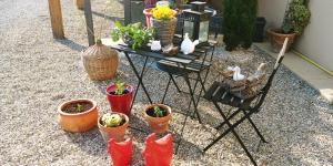 Gîte au centre de lalsace