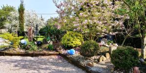 Gîte au centre de lalsace