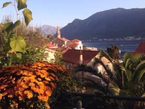 Be happy in Perast