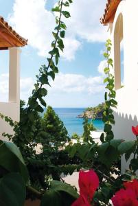 Alonissos Beach Bungalows And Suites Hotel Alonissos Greece