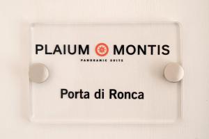 Plaium Montis