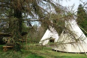 Tentes de luxe Levaltipis : photos des chambres