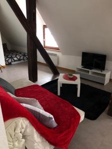 Appartements Duplex a Ribeauville : photos des chambres