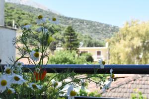 Starvillas Apartments and Studios Kefalloniá Greece