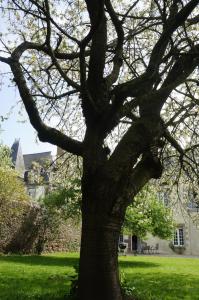 Maisons d'hotes Manoir 1685 Saint Malo : photos des chambres