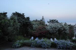 Hotel Cyrnea