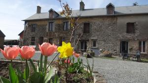 B&B / Chambres d'hotes La Petite Houssaye : photos des chambres