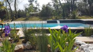 B&B / Chambres d'hotes La Villa Provencale : photos des chambres