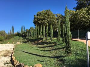 Villa Saturnia - Piscina Privata - 9 dalle Terme