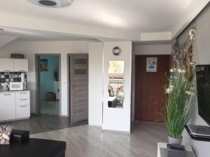 Apartament Bosmanski