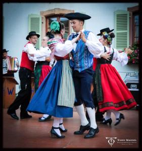 Appartements Gite Edelweiss a Eguisheim : photos des chambres