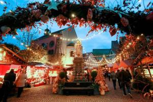 Appartements Gite Edelweiss a Eguisheim : photos des chambres