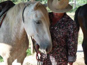 B&B / Chambres d'hotes Bergerie d'Alivon en Camargue : photos des chambres