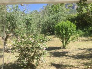 THE CABIN, KYPARISSIA Messinia Greece