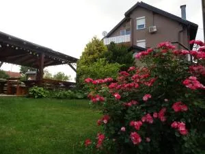 Apartments and Rooms Kristina - Drežnik Grad