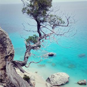 Appartamento Porto Frailis img20