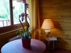 Chalet aux pied des vignes
