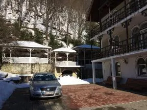 阿尔巴旅馆 - Dofteana