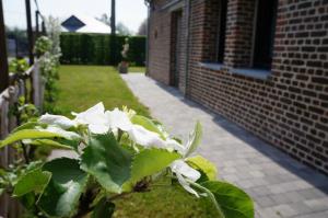 Maisons de vacances Gite l'Atelier : photos des chambres