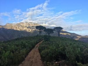 Three Pines Cottage on Stark Conde