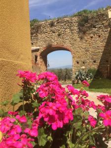 Mansarda degli Ulivi