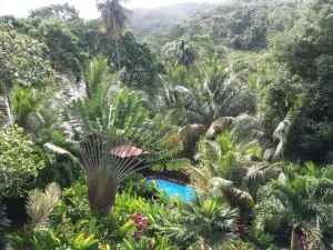 Ti Plèn Kréol - Vieux-Habitants