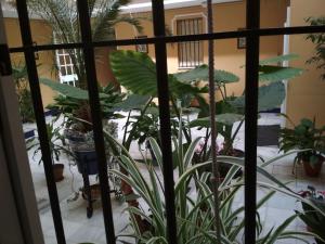 TWO BEDROOMS Leonor Dávalos